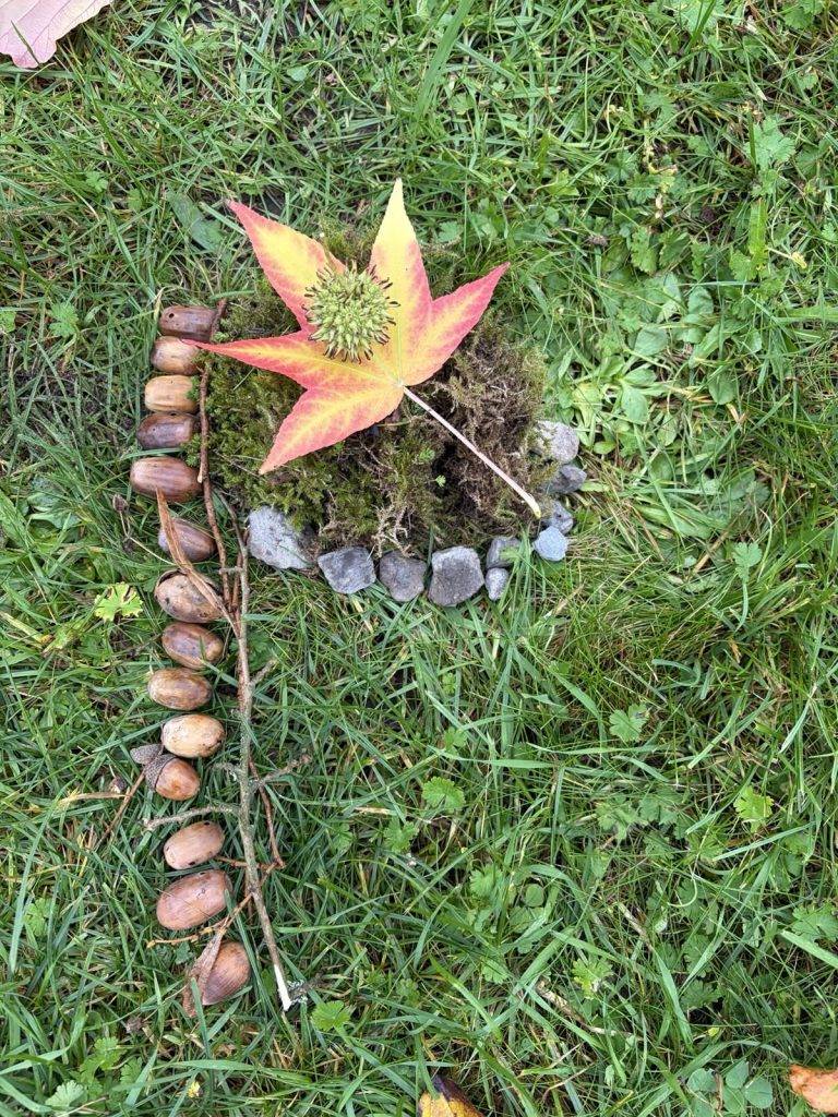 Stadtteilerkundung Britz ein naturarrangement auf gras mit einem gelben und roten ahornblatt, einer runden samenkapsel, moos, einem halbkreis aus kleinen grauen steinen und einer reihe von eicheln auf einem zweig.